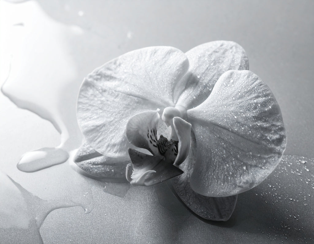 Shampoing Lissant Sans Sulfate Dilara – Brillance Intense & Protection Lissage